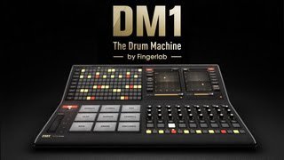 Dm1