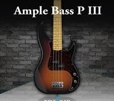 Ample Sound Ample Bass P