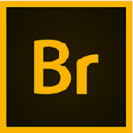 Adobe Bridge 2021