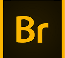 Adobe Bridge 2021